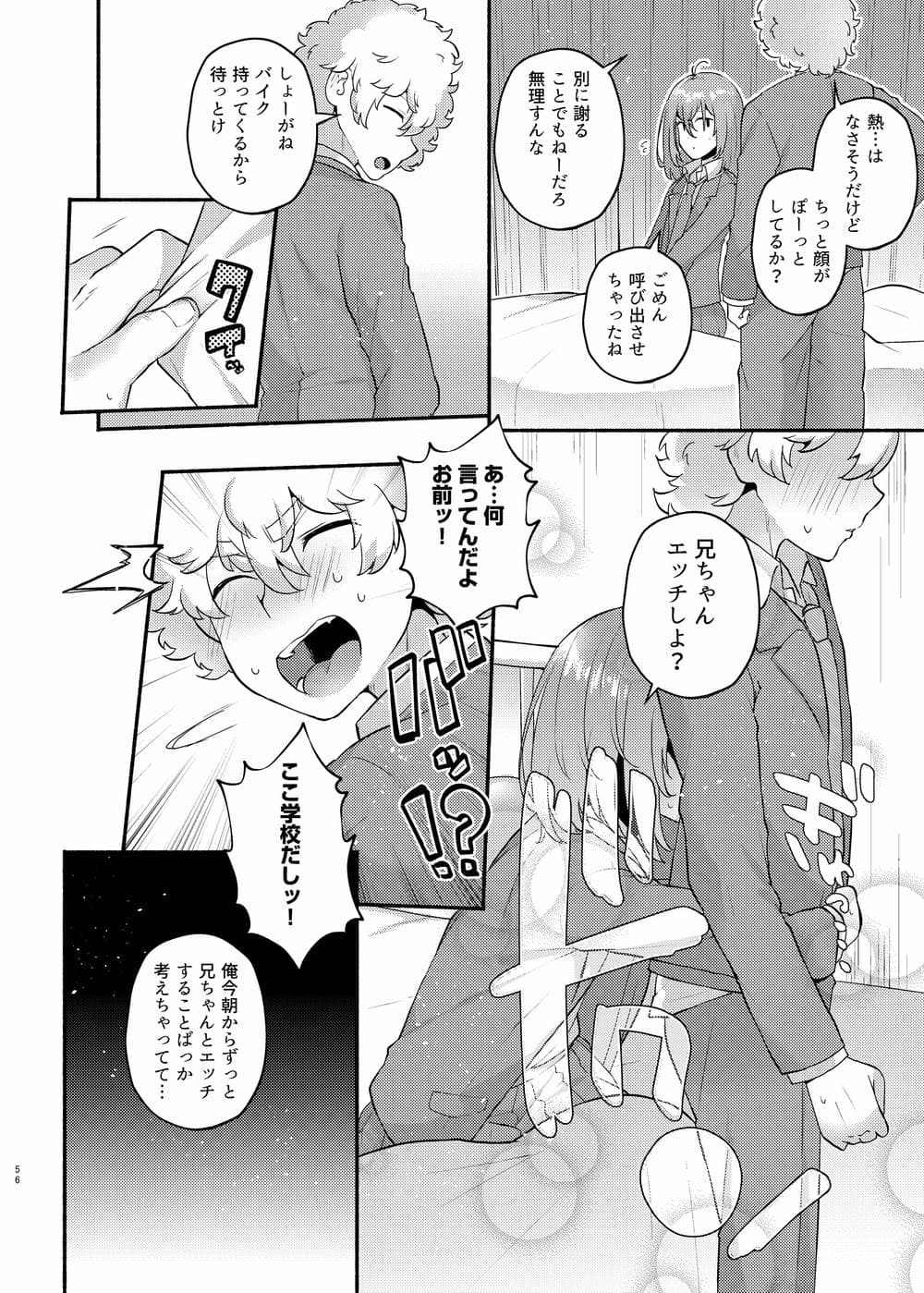 [スタンダードアザラシ] 俺の弟が妹になった話 [DL版]