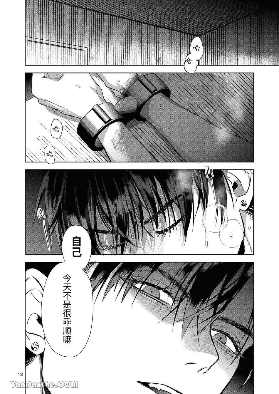 [おやすみ毛布 (ひつじ)] 完全なる一族