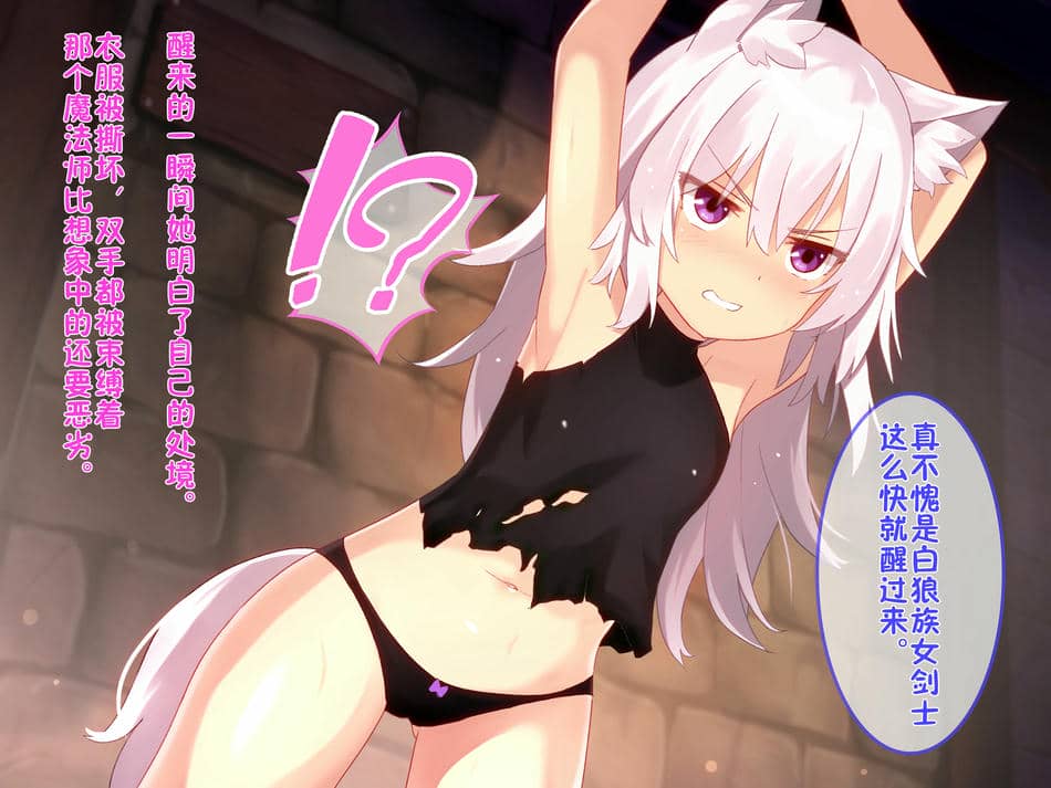 [華グルメ] 雌犬の躾は地下室で [逃亡者×真不可视汉化组]