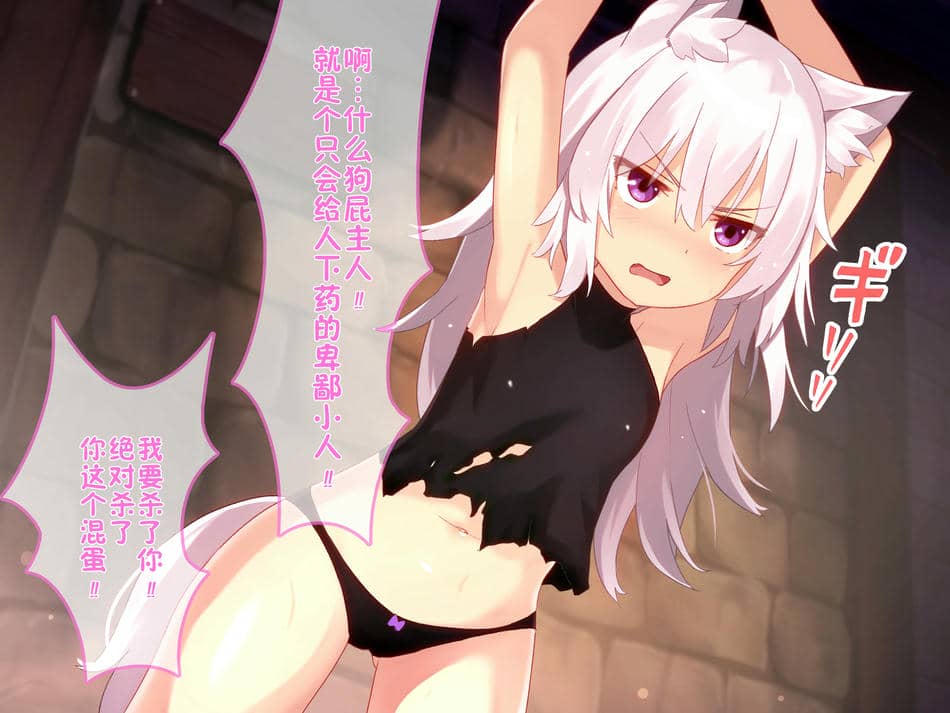 [華グルメ] 雌犬の躾は地下室で [逃亡者×真不可视汉化组]