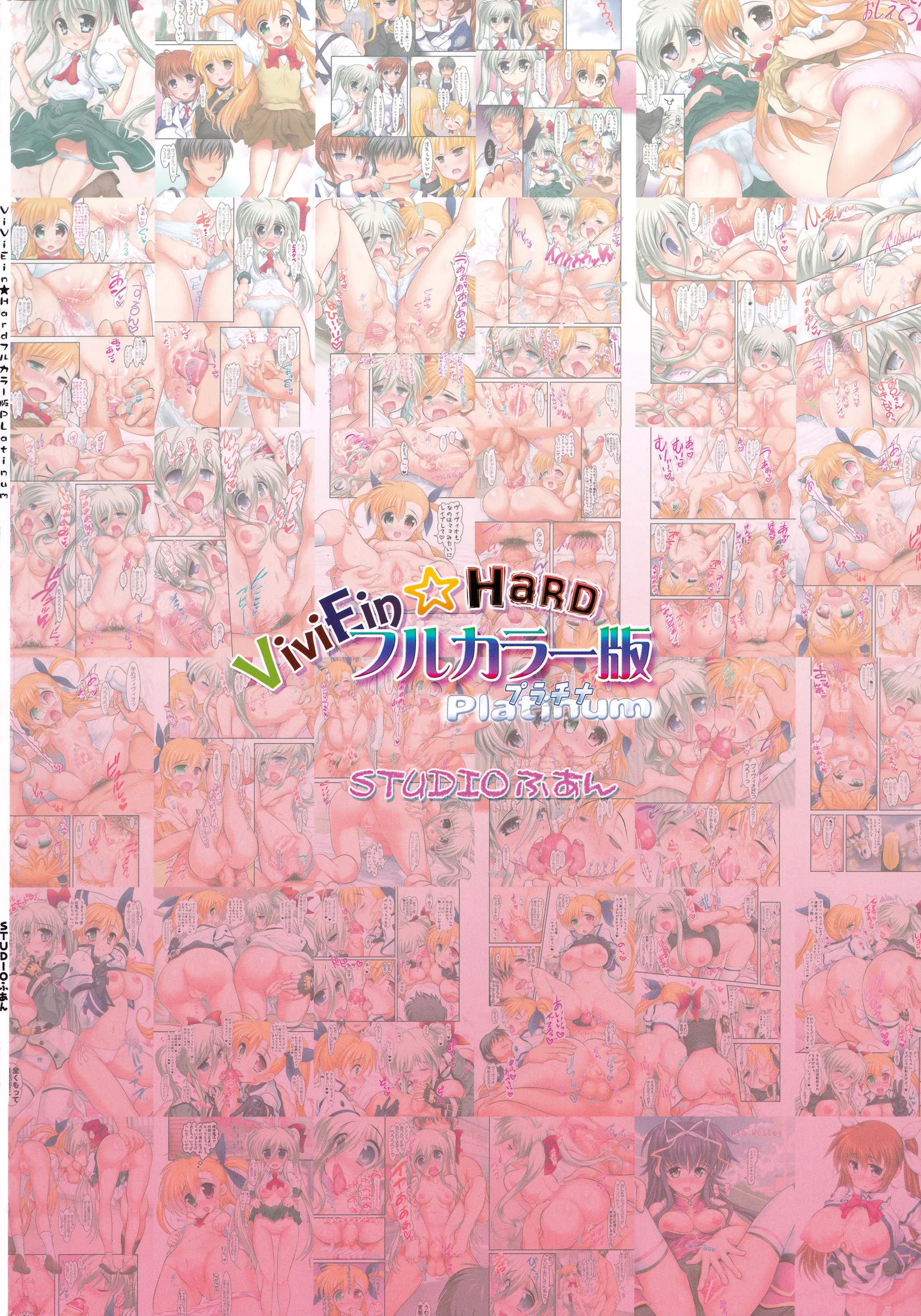 (C88) [STUDIOふあん (来鈍)] ViviEin★HaRD フルカラー版 Platinum (魔法少女リリカルなのは)【Polaris个人汉化】