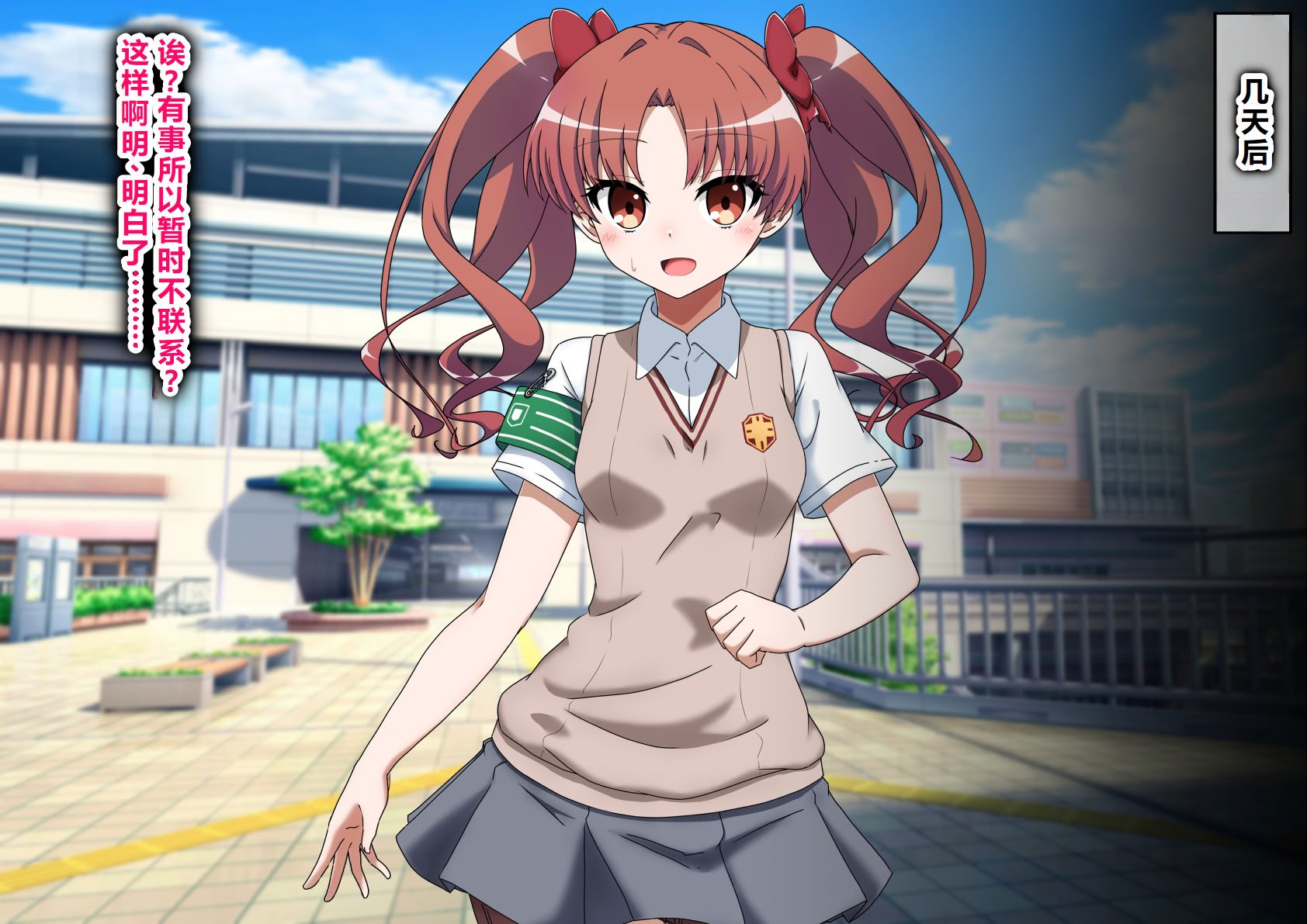 [わっしょい赤ちゃん] エッチな勝負じゃ負けません!!‐なぜ学園都市の平和を守る風紀委員がボテ腹メス堕ちしたのか？ (とある魔術の禁書目録) [中国翻訳]