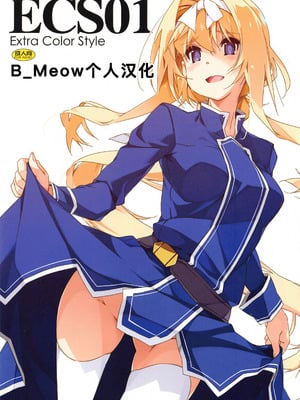 [行脚堂 (しけー)] ECS01 (ソードアート・オンライン) [B_Meow个人汉化]