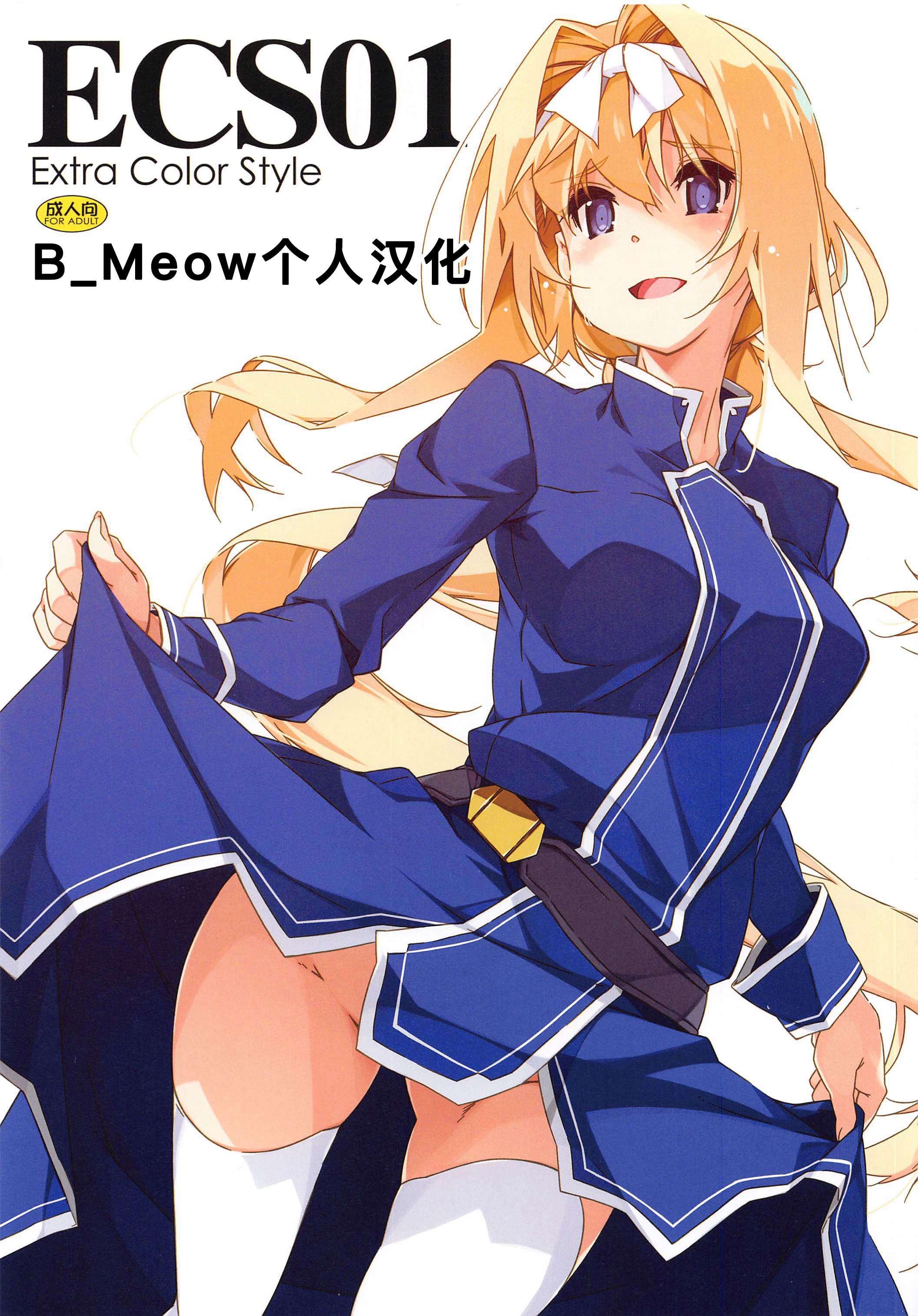 [行脚堂 (しけー)] ECS01 (ソードアート・オンライン) [B_Meow个人汉化]