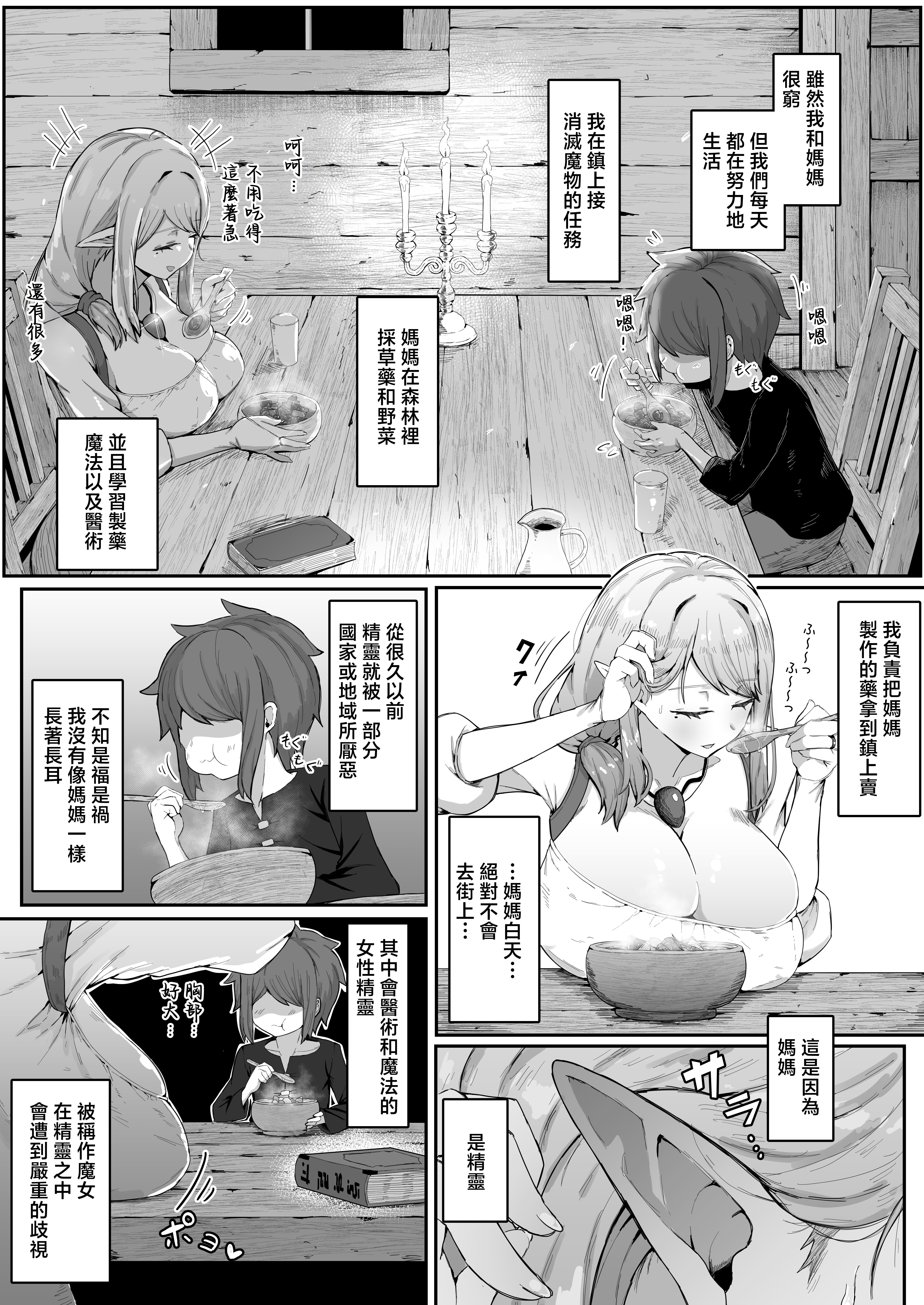 [ムルの本箱] エルフの母と孕むまで [中国翻訳]