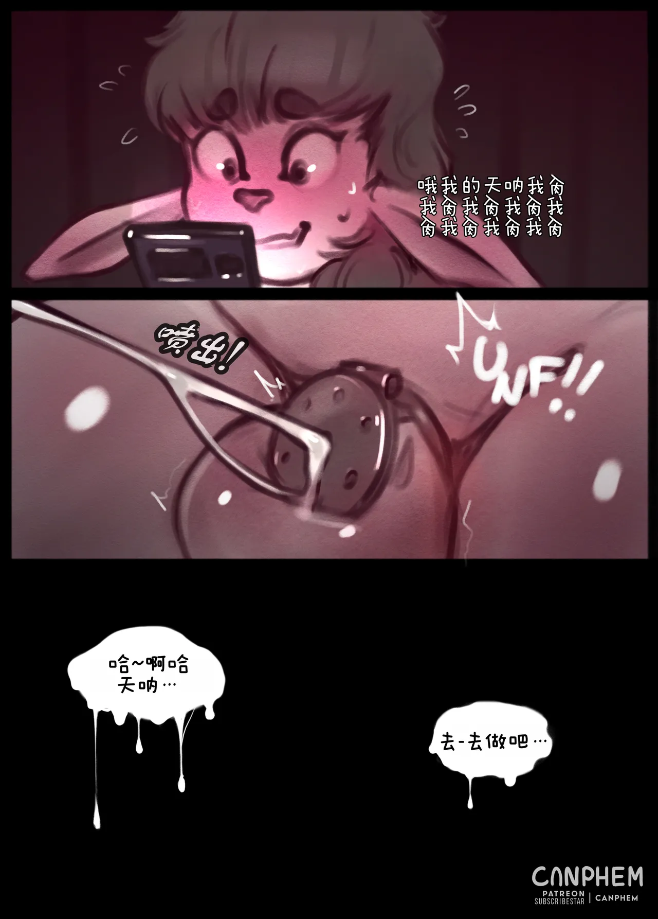 [Canphem] The End of NNN [ZZR个人汉化]