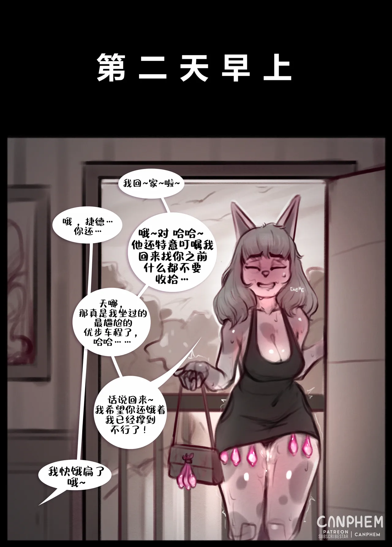 [Canphem] The End of NNN [ZZR个人汉化]