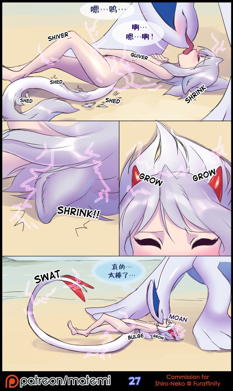 逃亡者出资汉化 silver soul 1