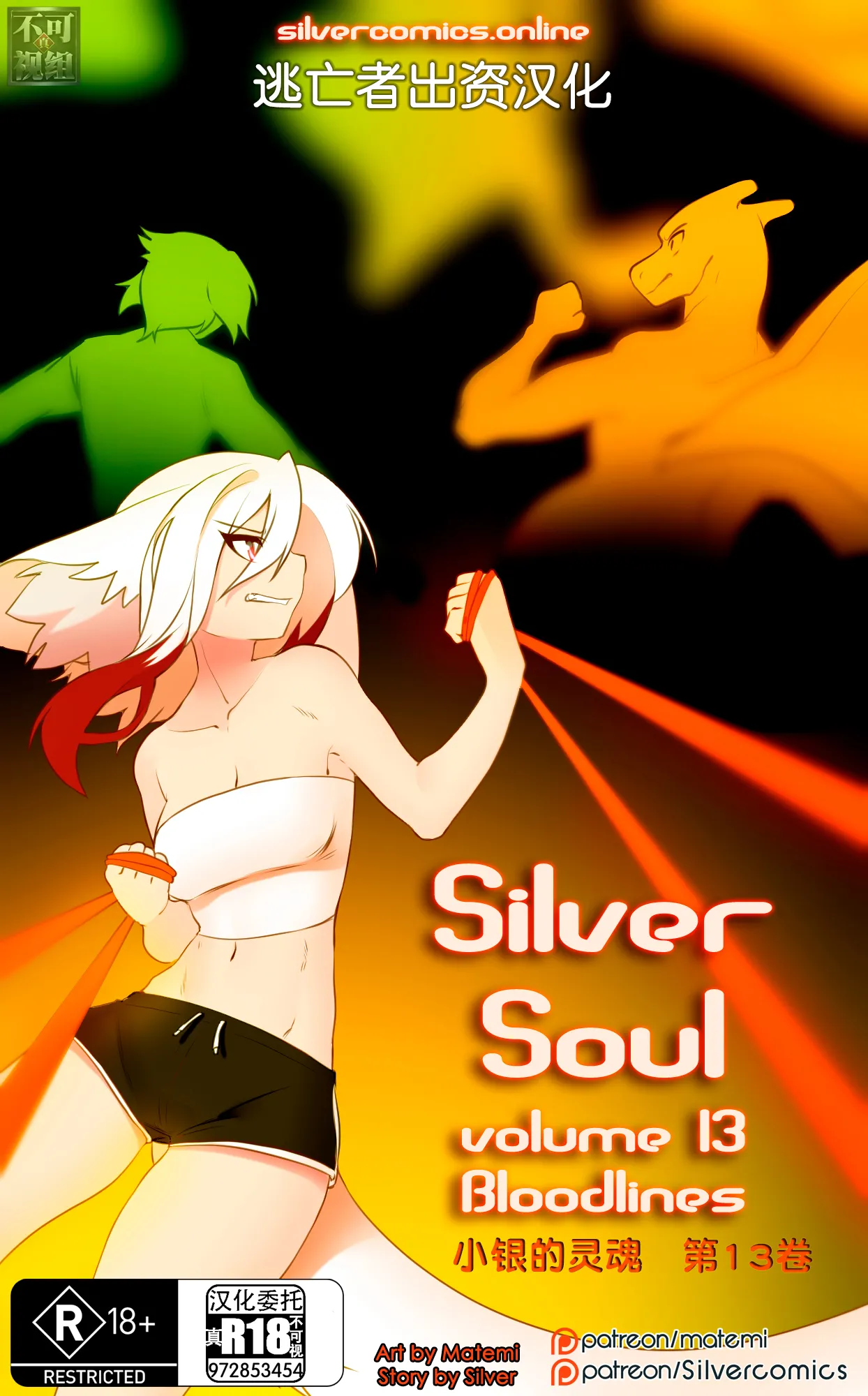 众筹汉化 新桥月白日语社 matemi silver soul 13