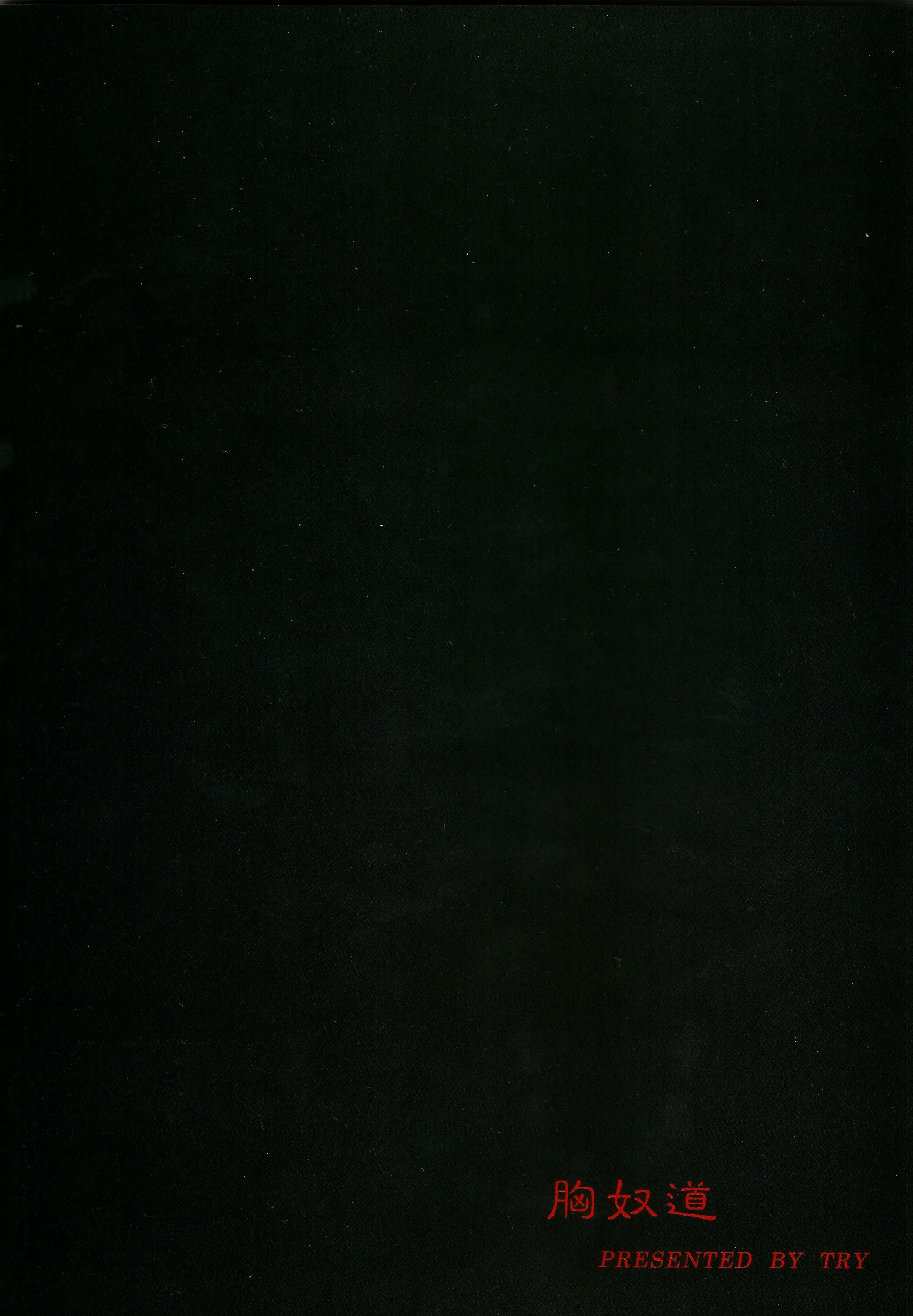 (FF19) [電萌 (Try)] 東方淫乳宴 其之貳 (東方Project) [中国語]