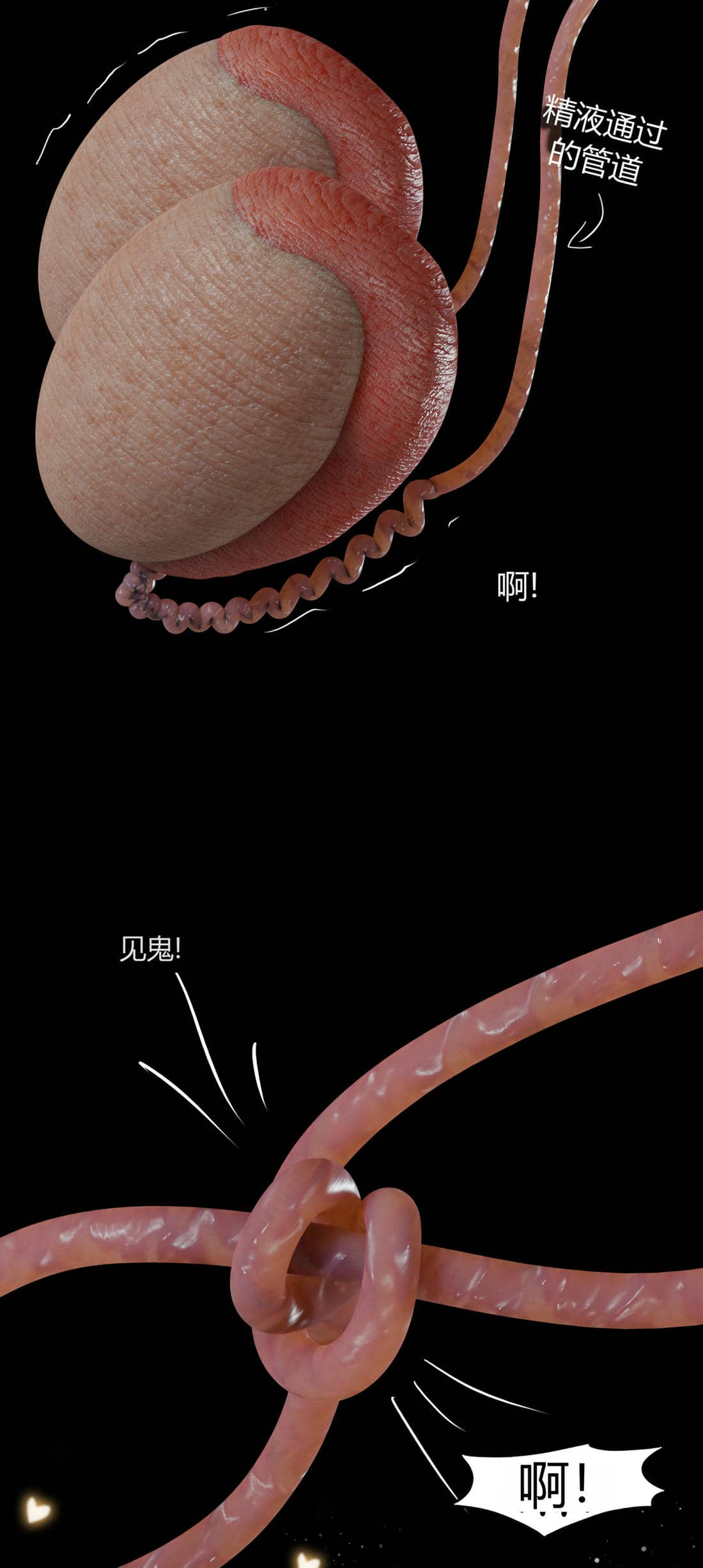 [RoseBlue3D]我的邻居是黑寡妇09
