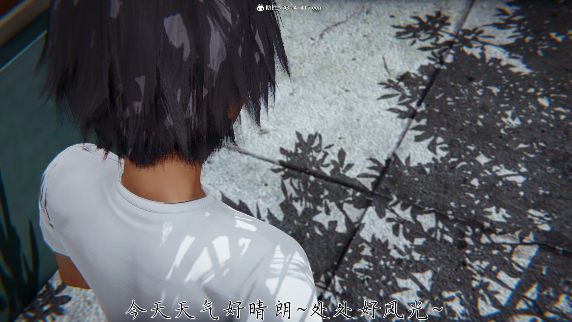 [見人就打]新宠物捕捉大师25