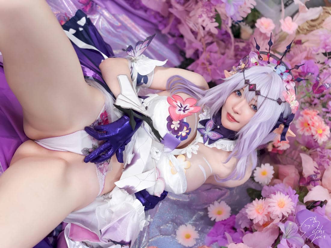 Machi - Castorice