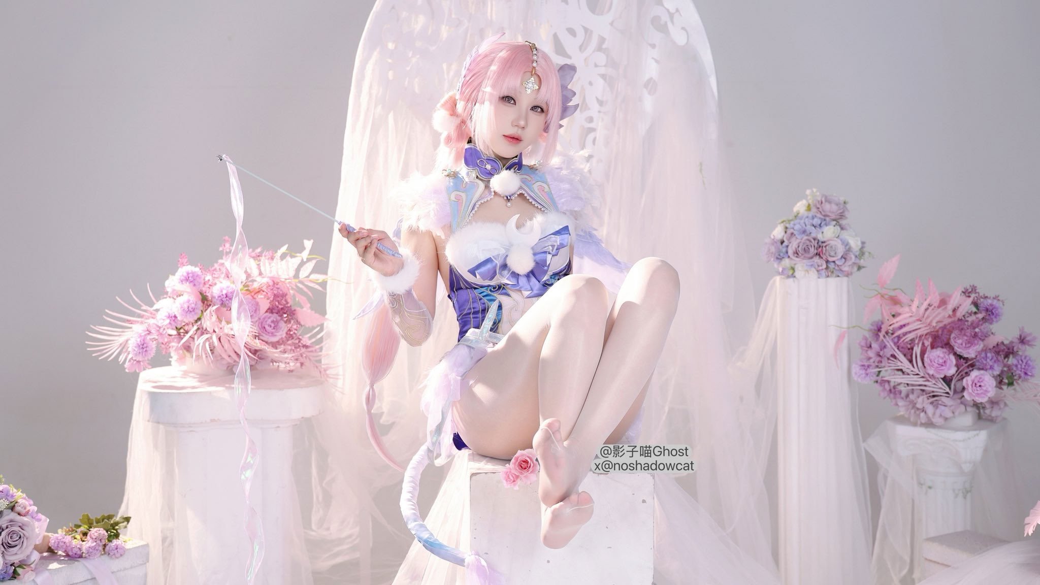 [影子喵Ghost] Twitter collection
