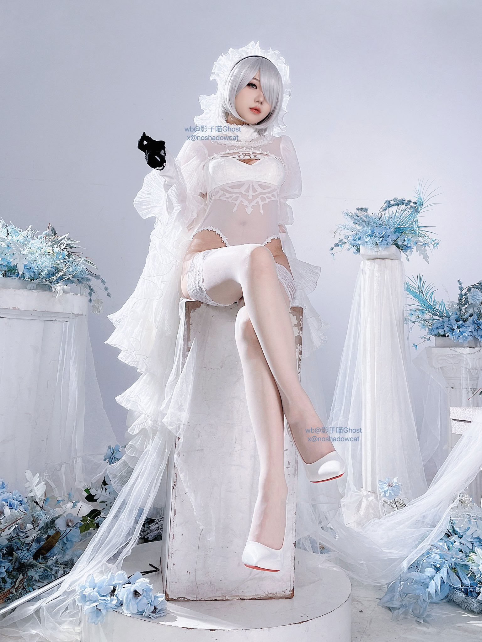 [影子喵Ghost] Twitter collection