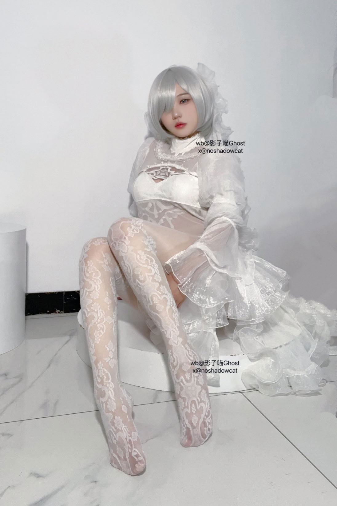 [影子喵Ghost] Twitter collection