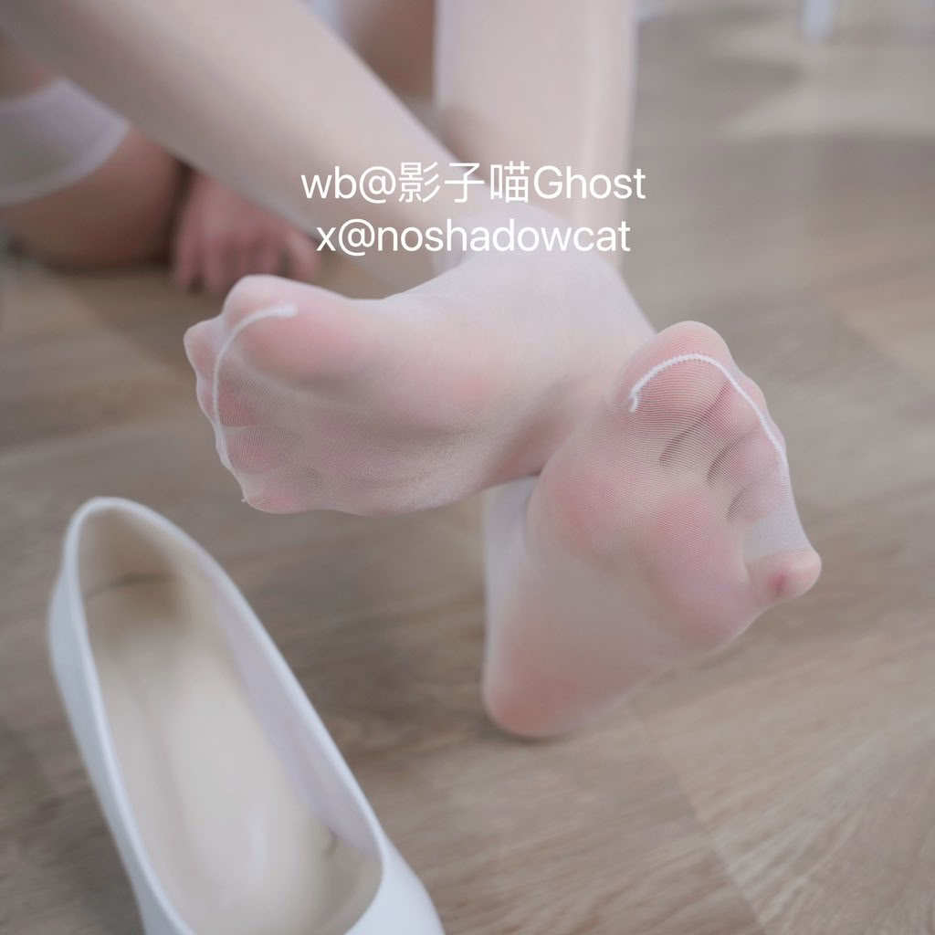 [影子喵Ghost] Twitter collection