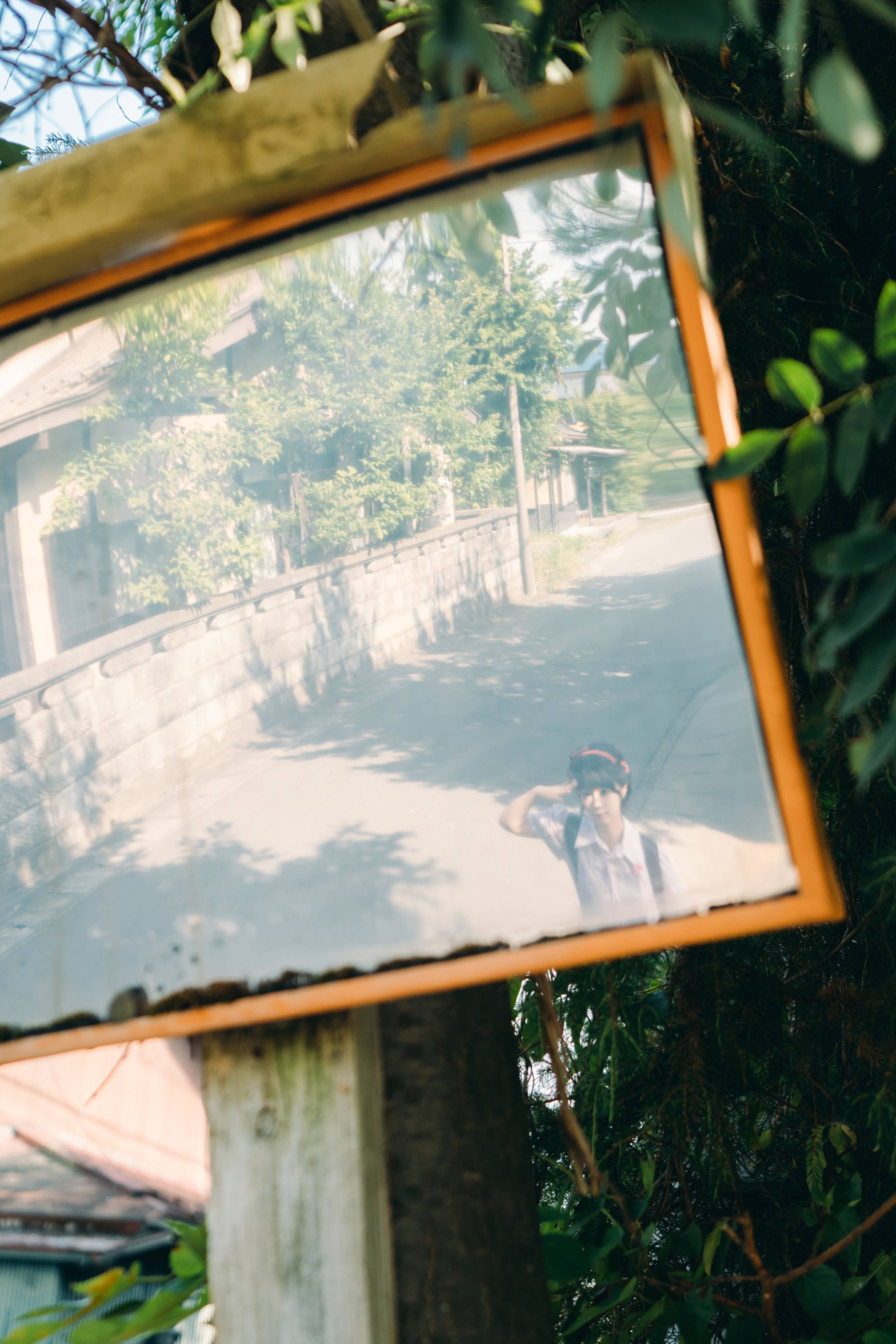 蠢沫沫 –  夏想 上