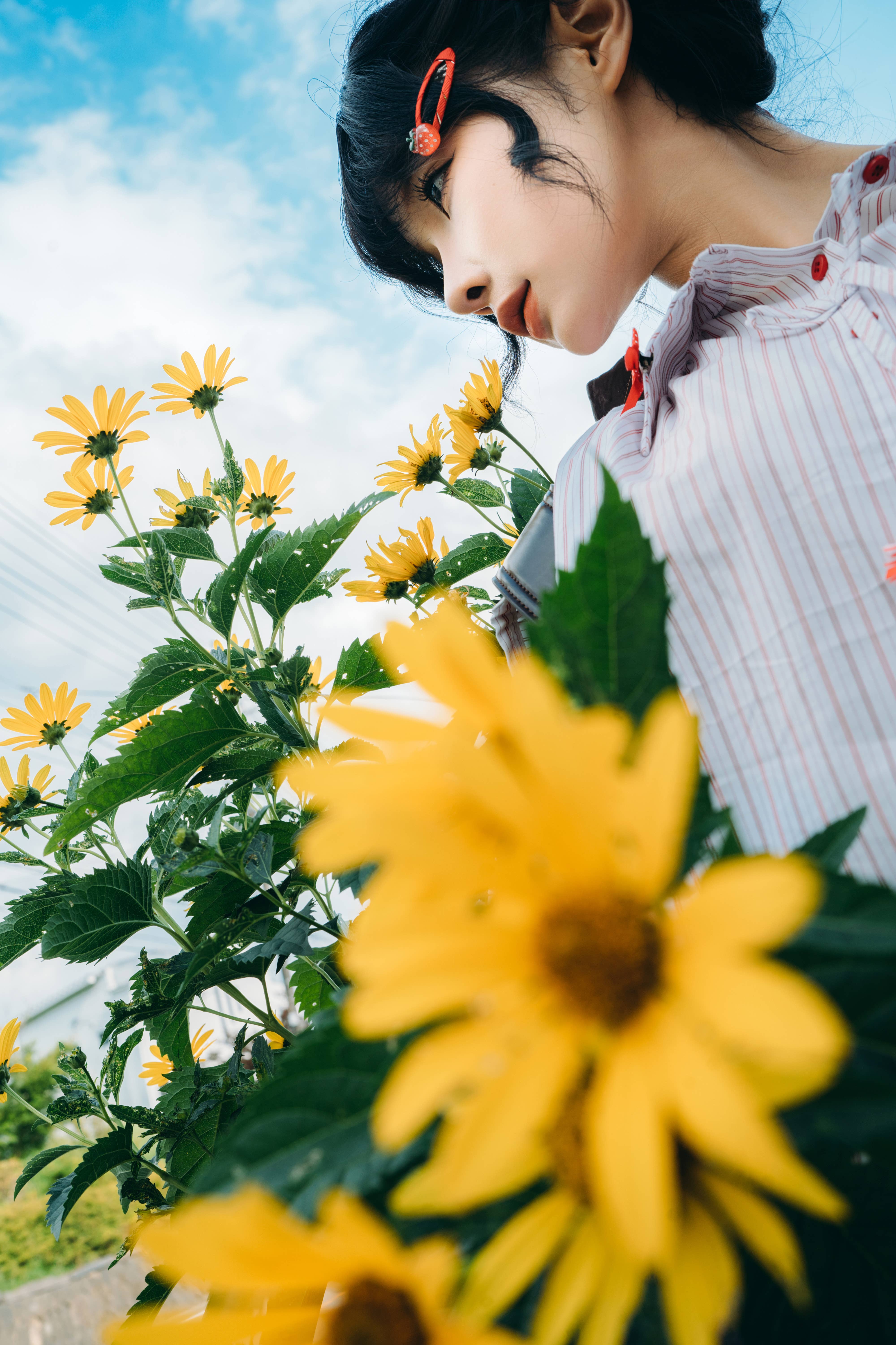 蠢沫沫 –  夏想 上