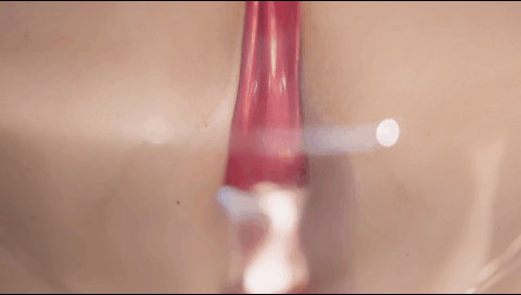 蠢沫沫 – 宝钟玛琳船长