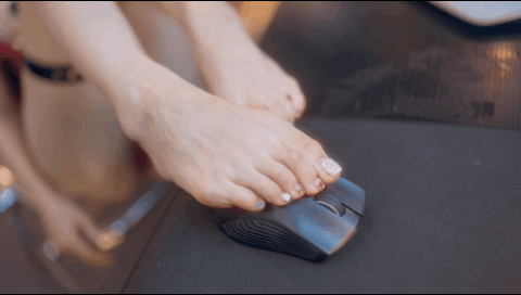 蠢沫沫 – 宝钟玛琳船长