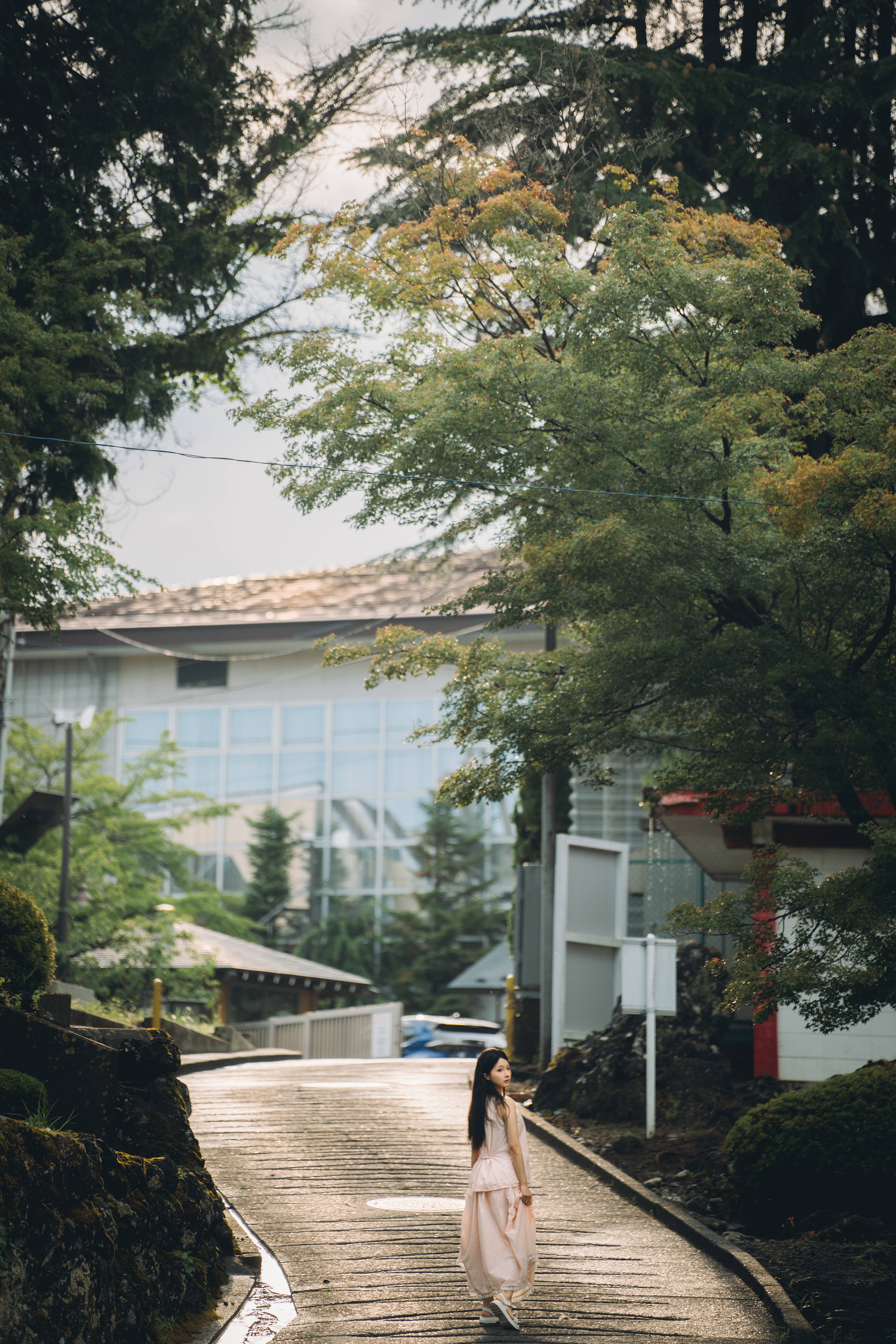 蠢沫沫 – 夏想(下）