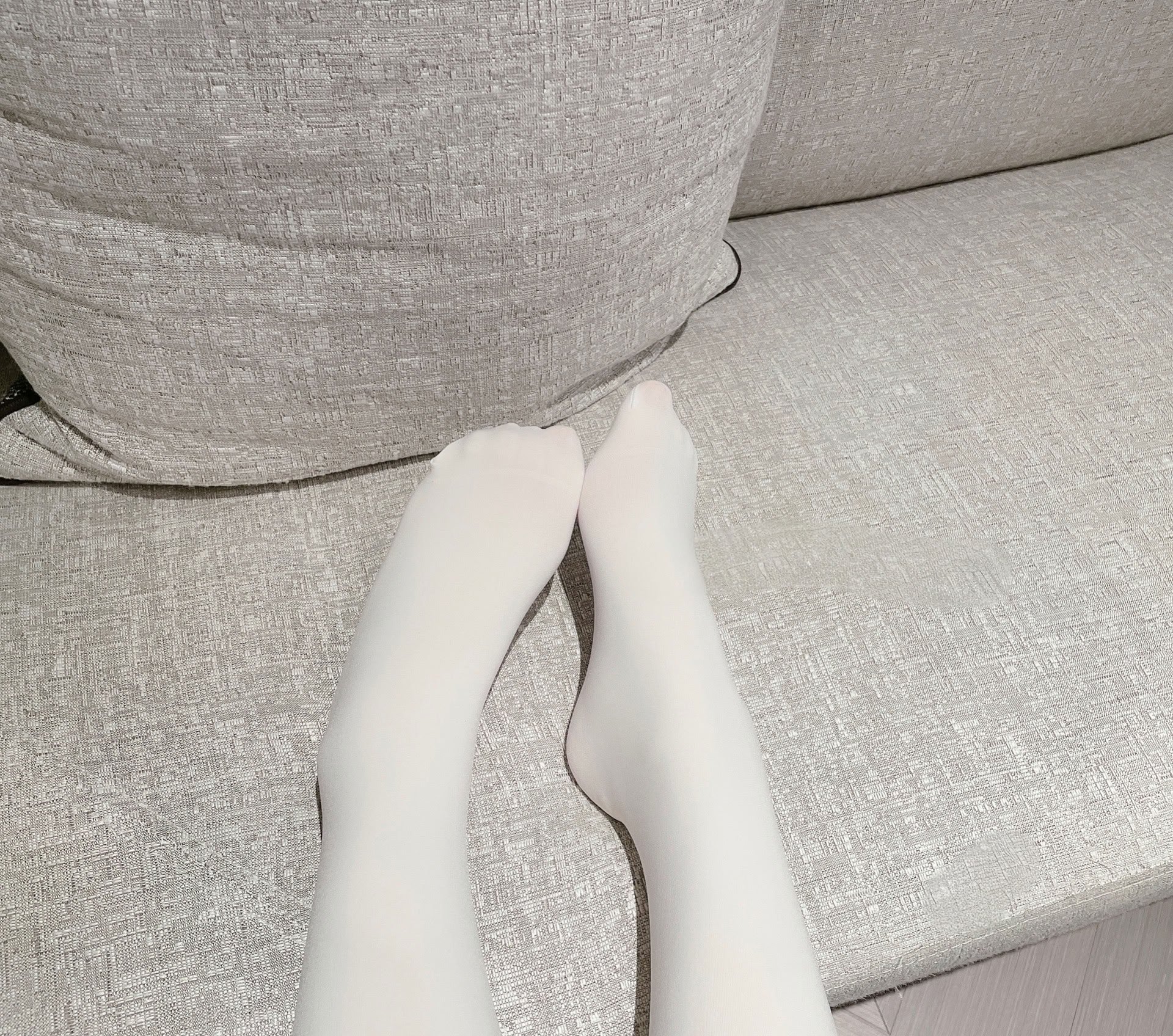 茶酒 - 体操服穹妹