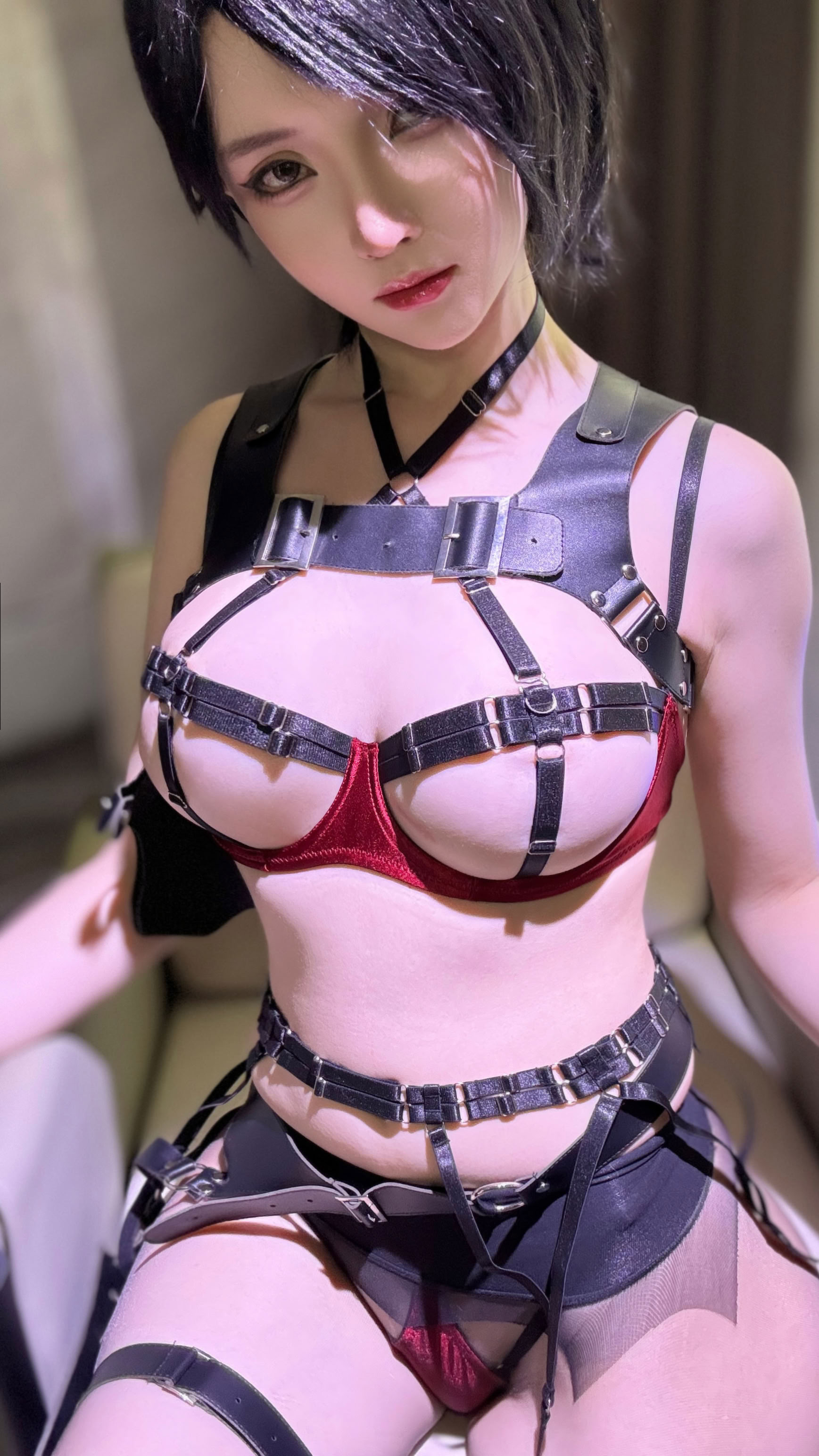 一小央泽 (泽鸽啊) -艾达王 (生化危机)