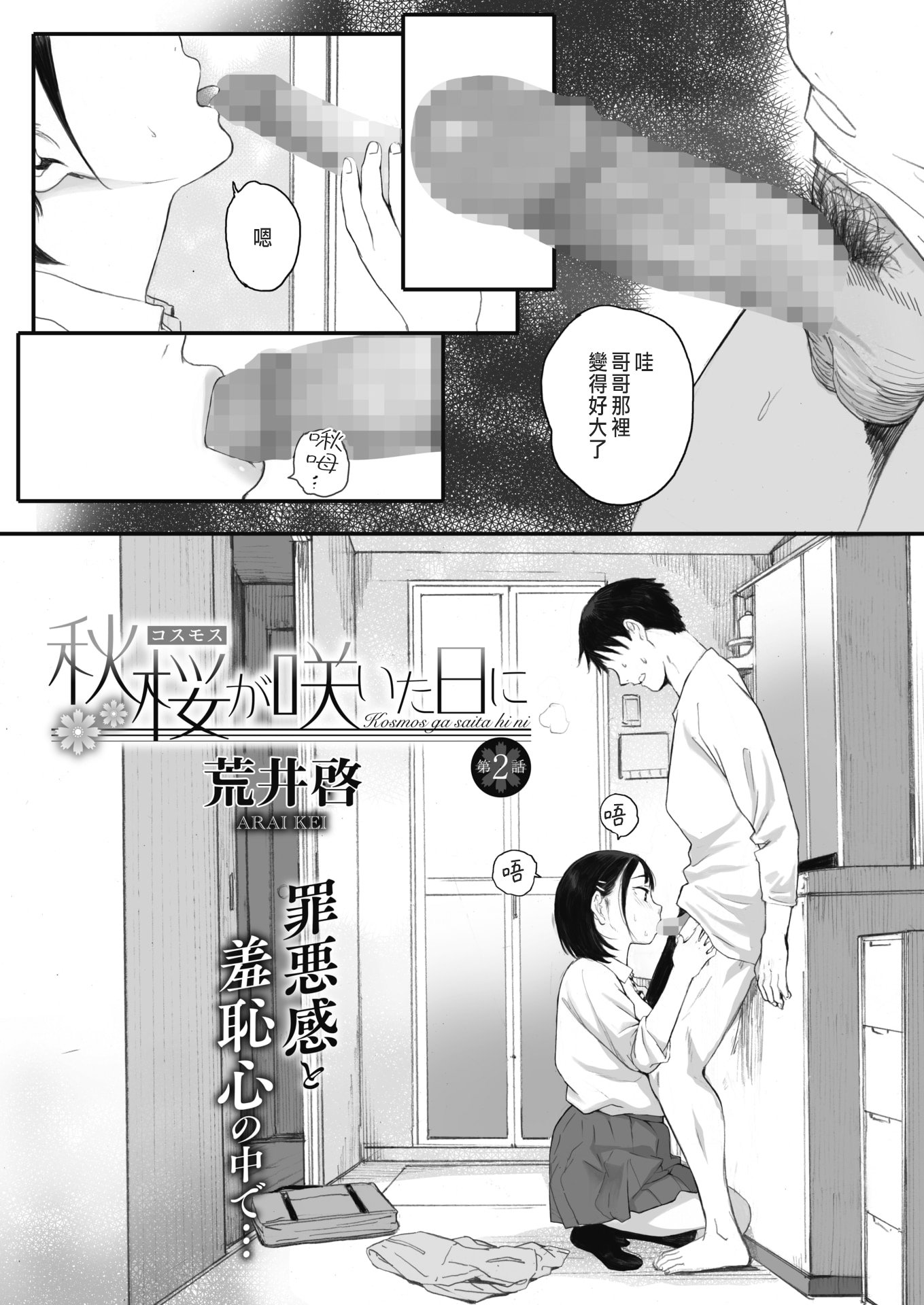 [荒井啓]秋桜が咲いた日に 第1~6話 [中国翻訳][粗碼]