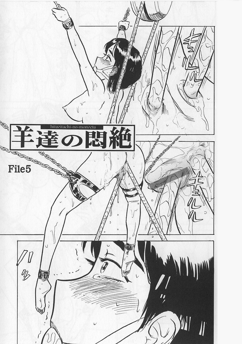 [桃山ジロウ] 女監禁蹂躙 [大祭司重嵌]