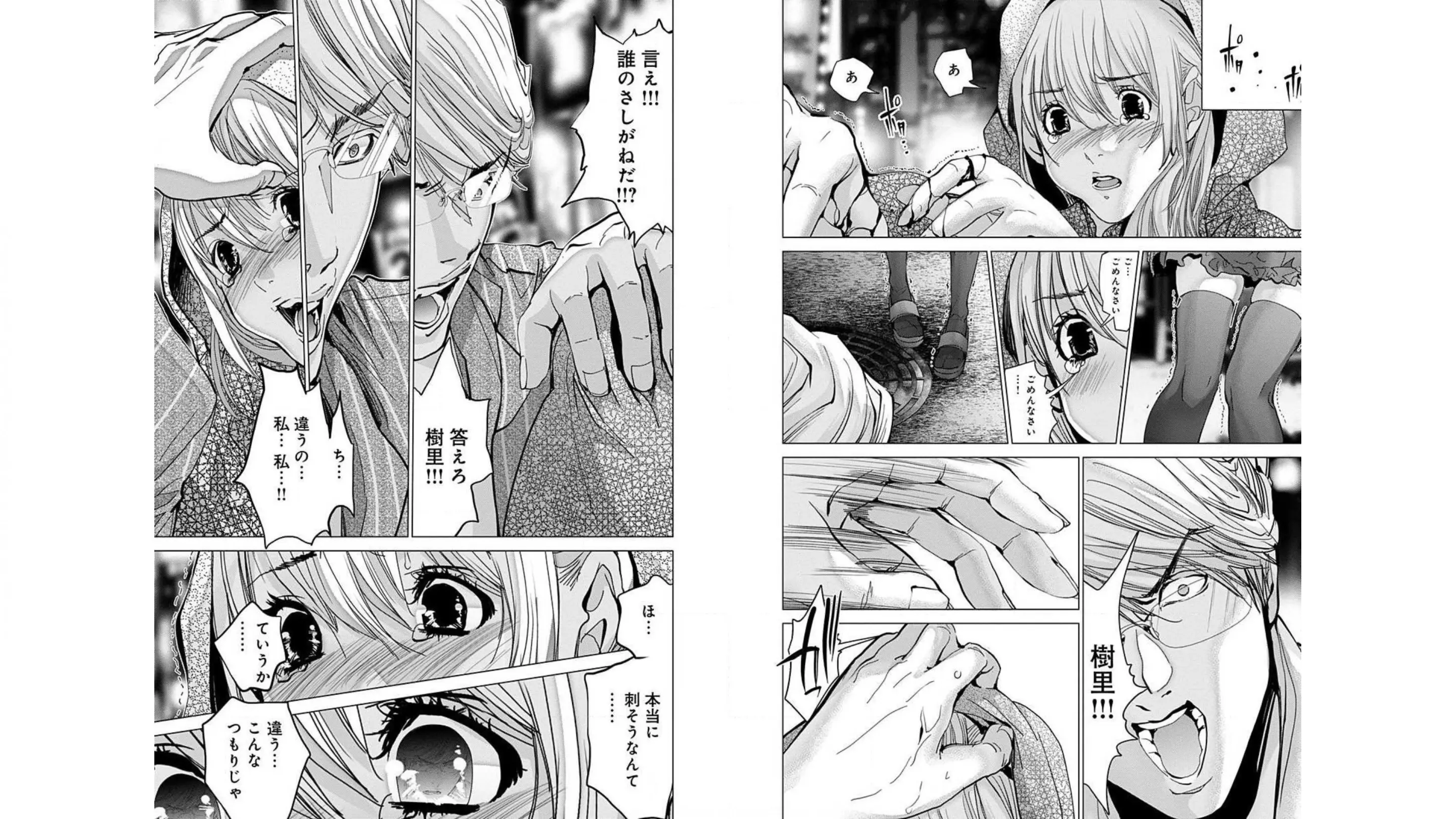 [宮崎摩耶]Blush-DC ~秘蜜~ 第10巻