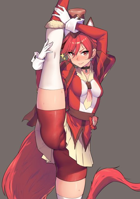huai diao de zongzi kirakira precure a la mode precure kenjou akira animal ears bike shorts cameltoe tail thighhighs