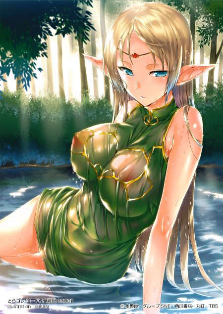 hisasi record of lodoss war deedlit dress elf erect nipples no bra pointy ears see through wet wet clothes
