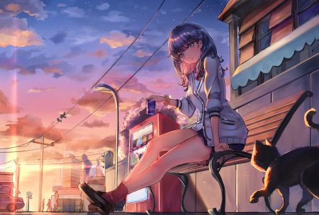 animal black hair blue eyes building cat city clouds drink headphones ice (6597201) long hair school uniform skirt sky socks ssss.gridman stars sunset takarada rikka wristwear