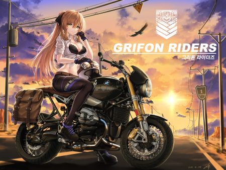 animal anthropomorphism baek hyang bird bra breasts brown hair cleavage clouds garter belt girls frontline gloves green eyes long hair motorcycle ponytail signed sky springfield (girls frontline) sunset underwear