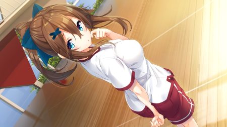 aqua eyes bow brown hair game cg gym uniform hinekuremono no gakuen seishun monogatari long hair nanjou sakuya ponytail rozea shorts