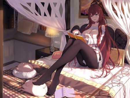 5555 96 animal bed blue eyes book breasts brown hair cleavage dress jpeg artifacts long hair original pantyhose