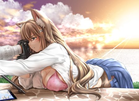 animal ears bra braids breasts brown eyes brown hair camera cleavage clouds computer erect nipples foxgirl grass long hair open shirt original pantyhose shirt skirt sky sunset tomoya kankurou underwear water