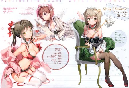 anmi original scan translation request