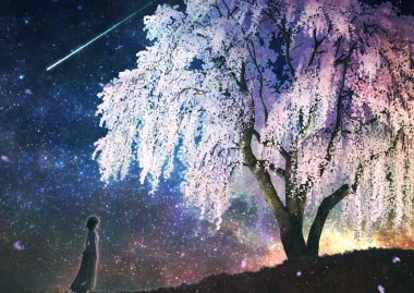 aliasing cherry blossoms flowers kupe original scenic short hair sky stars tree