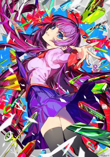 mika pikazo bakemonogatari monogatari (series) senjougahara hitagi seifuku skirt lift thighhighs