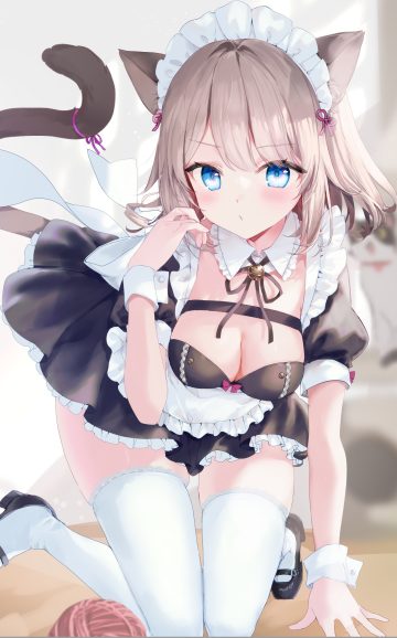 nekojita (ika neko46) animal ears maid nekomimi no bra tail thighhighs