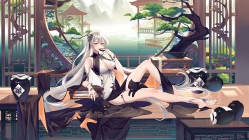 animal ao la xing barefoot brown eyes cat dress drink gray hair long hair sake water zuo600